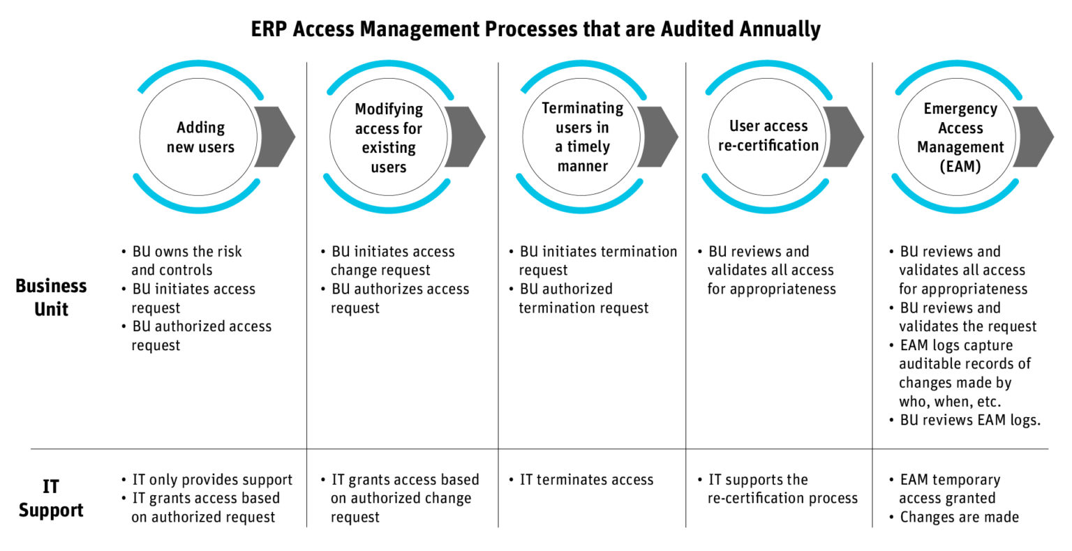 SAP Access Management | Identity Lifecycle Management | Data Security