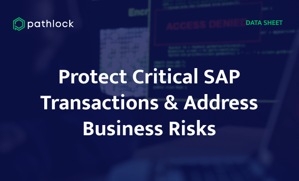 Protect Critical SAP Transactions & Address Business Risks