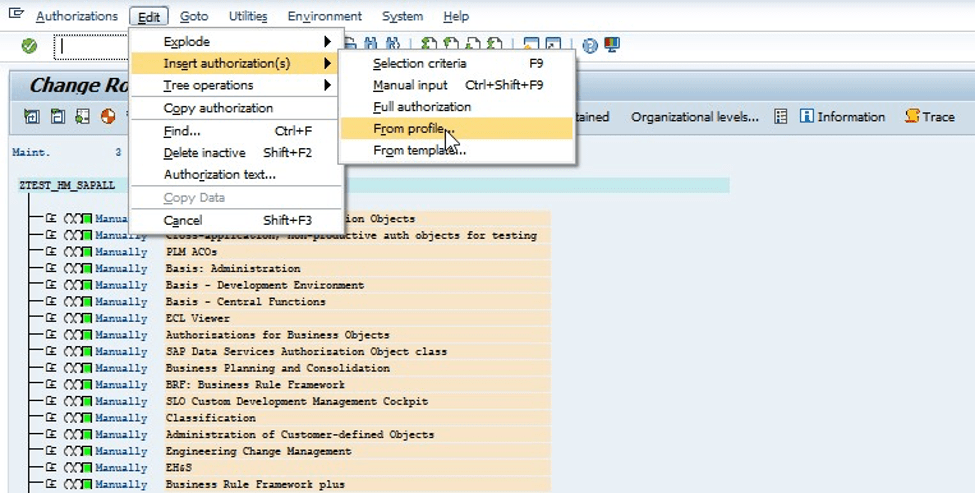 changing role authorisations in SAP