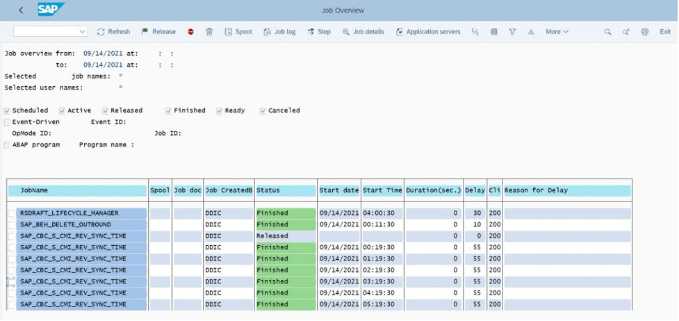 SAP Report