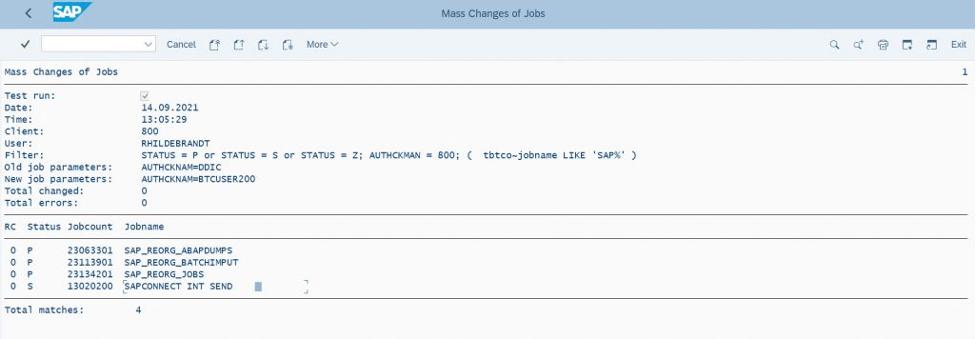 SAP Mass Job Change Report