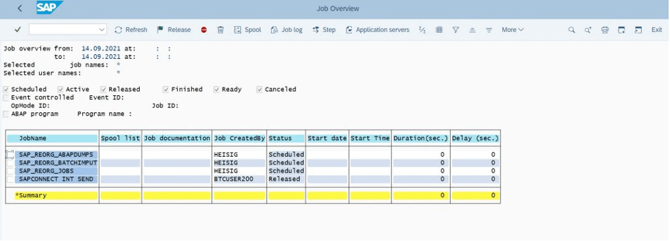 SAP Job Overview