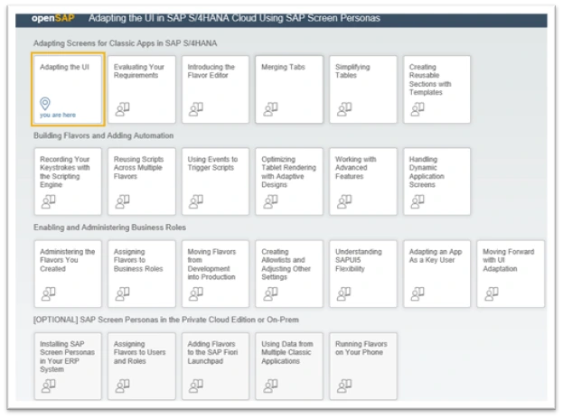 SAP Screen Personas