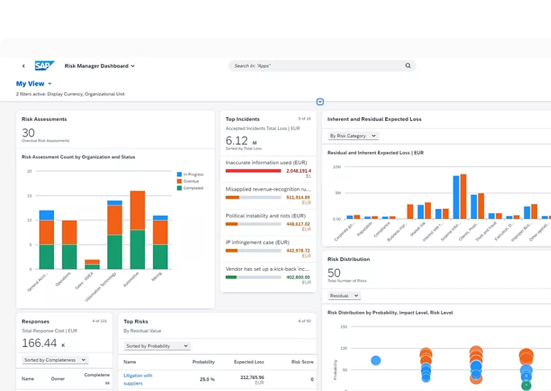 SAP Enterprise Risk Management
