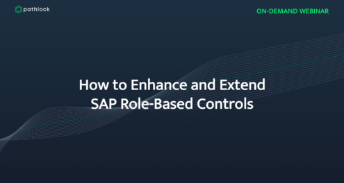 How to Enhance and Extend SAP Role-Based Controls