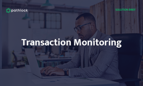 Solution brief - Transaction Monitoring