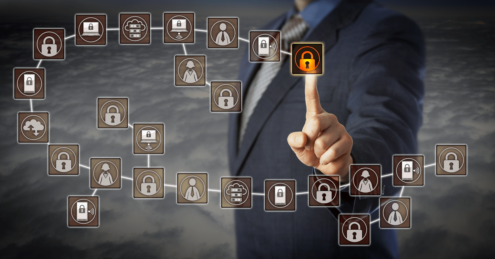SAP Security Audit Log, Access Governance